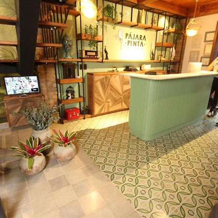 Hotel Pajara Pinta 卡利 外观 照片